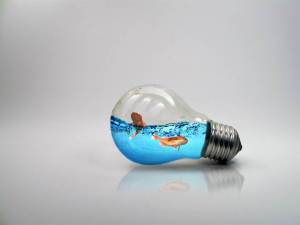 I am on until I am dead, like a light bulb.